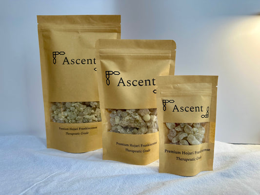Close up of green tinged premium therapeutic grade frankincense tears from Oman
