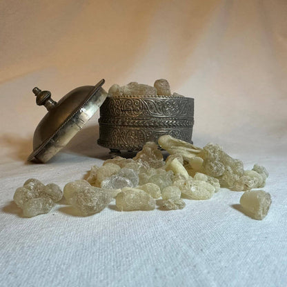 Omani Hojari frankincense luban resin from Boswellia sacra trees in Dhofar