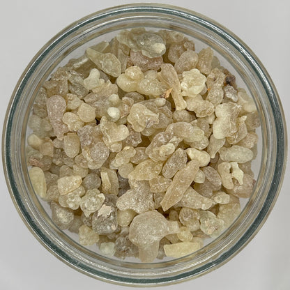Premium therapeutic grade Omani frankincense, Boswellia sacra resin from Dhofar
